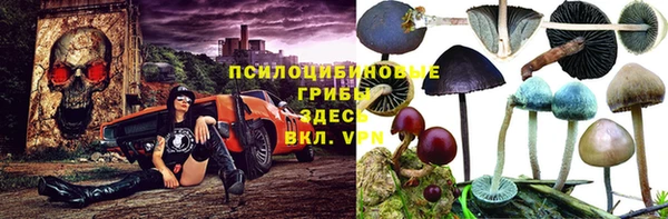 2c-b Кукмор