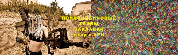 2c-b Кукмор