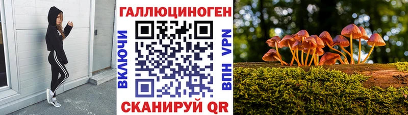Галлюциногенные грибы мицелий Елизаветинская